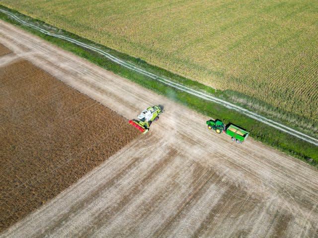 Recuperación de IVA para productora agrícola